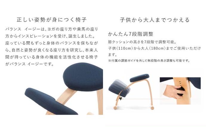 岐阜県美濃市のふるさと納税 椅子 バランスイージー カバーなし イージーライティングボード M セット 選べる フレーム カラー