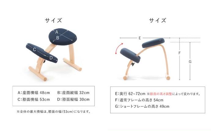 岐阜県美濃市のふるさと納税 椅子 バランスイージー カバーなし イージーライティングボード M セット 選べる フレーム カラー