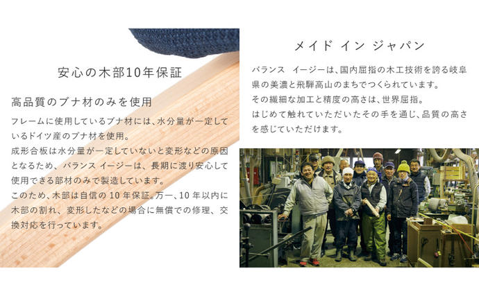 岐阜県美濃市のふるさと納税 椅子 バランスイージー カバーなし イージーライティングボード M セット 選べる フレーム カラー