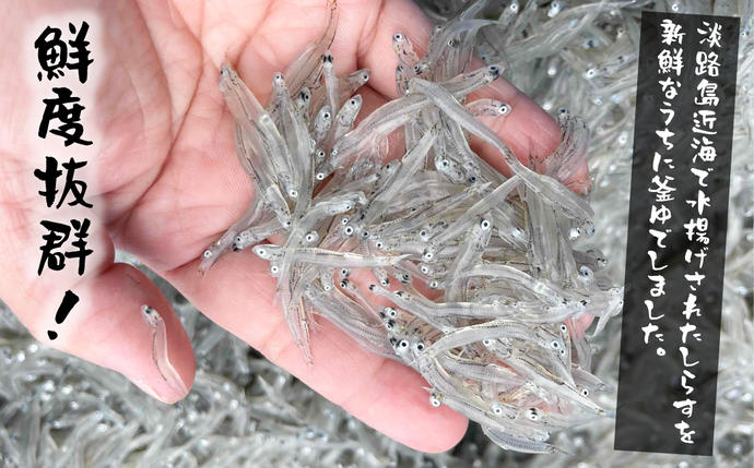 兵庫県淡路市のふるさと納税 【訳あり】淡路島・藤本水産 しらす釜揚げ 業務用サイズ1kg入り　[シラス 冷凍 釜揚げしらす]