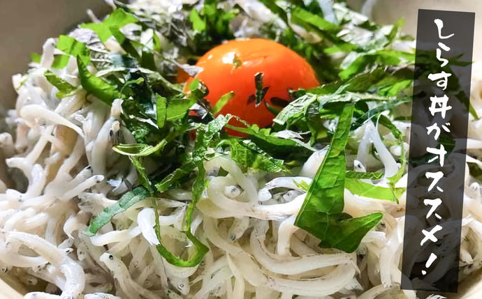 兵庫県淡路市のふるさと納税 【訳あり】淡路島・藤本水産 しらす釜揚げ 業務用サイズ1kg入り　[シラス 冷凍 釜揚げしらす]