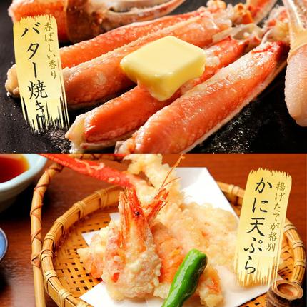 北海道弟子屈町のふるさと納税 3355. ボイルズワイガニ足 1kg 約2-3人前 食べ方ガイド・専用ハサミ付 カニ かに 蟹 送料無料 期間限定 数量限定 北海道 弟子屈町