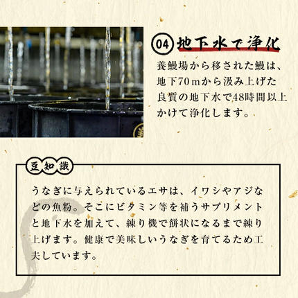 鹿児島県志布志市のふるさと納税 【3月末までに配送】【お礼の品人気No1】霧島湧水鰻の蒲焼き 140g以上×5尾＜計700g以上＞ b2-048-03