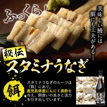 鹿児島県志布志市のふるさと納税 【数量限定】鹿児島県産！秘伝の特上スタミナうなぎ白焼き＜2尾・計240g以上＞肝吸いセット！ a4-098