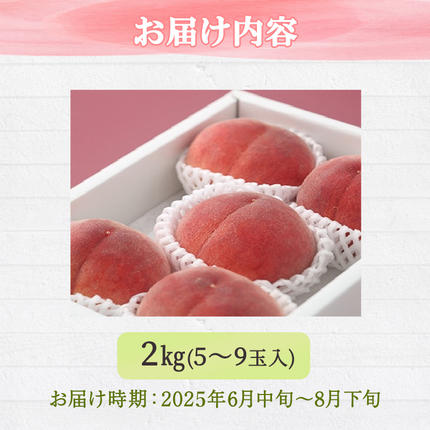 熊本県錦町のふるさと納税 桃 白桃 先行予約 錦の桃 2kg 約5玉～9玉 もも モモ フルーツ 果物 デザート 2026年発送 鎌木果樹園 配送不可:離島