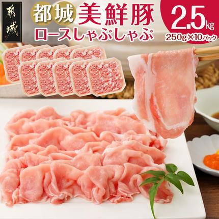 都城美鮮豚ロースしゃぶしゃぶ2.5kg(250g×10パック)〔54-003-2500g〕