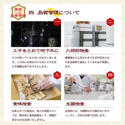 静岡県浜松市のふるさと納税 浜名湖産うなぎ大満足特盛セット（長白焼・長蒲焼150g×各4、カット蒲焼110g×8）【国産うなぎ】【配送不可：離島】 鰻 ふっくら 関東風