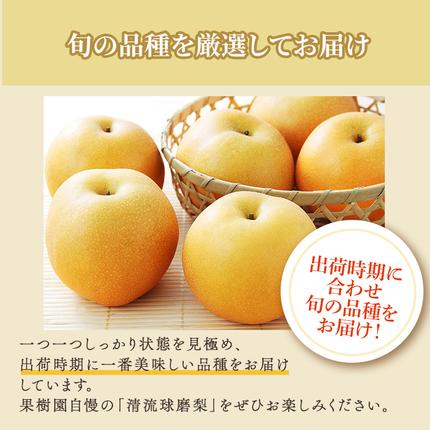 熊本県錦町のふるさと納税 梨 旬 5kg 先行予約 2026年発送 平野果樹園 錦の梨 なし フルーツ 果物 デザート 配送不可:離島