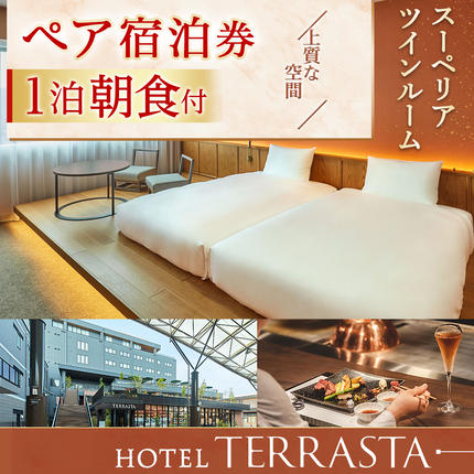 宮崎県都城市のふるさと納税 【HOTEL TERRASTA】スーペリアツインルーム≪1泊朝食付 宿泊券2名様分≫_74-K501