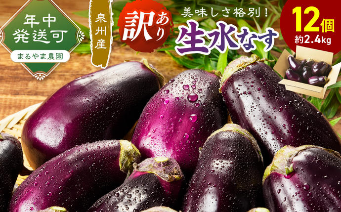 まるやま農園 泉州生水なすB級訳あり品 12個入[087D-159]
