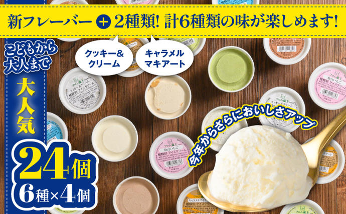 宮城県白石市のふるさと納税 フロム蔵王　Hybrid　NEO　スーパーマルチアイスBOX24（6種×4個）【0114802】
