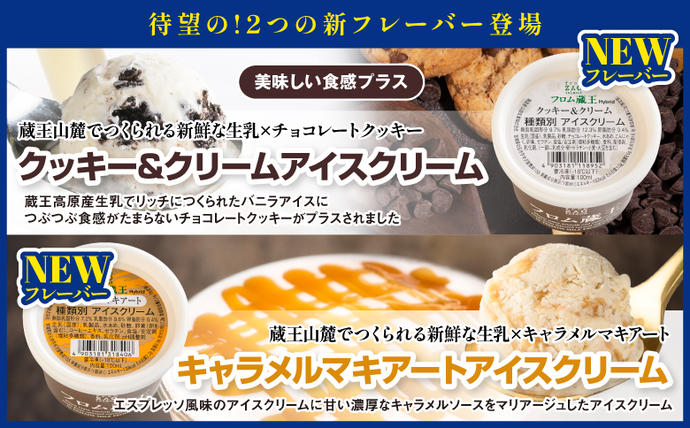 宮城県白石市のふるさと納税 フロム蔵王　Hybrid　NEO　スーパーマルチアイスBOX24（6種×4個）【0114802】