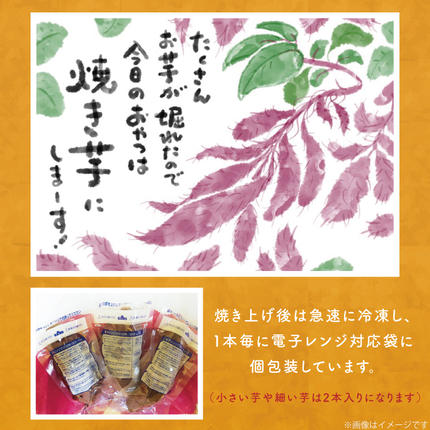 茨城県行方市のふるさと納税 【12ヶ月定期便】★少し大きめサイズ★熟成紅はるか冷凍焼き芋約1.2kg＋おまかせ品種さつまいも 合計約1.4kg!（EY-22）