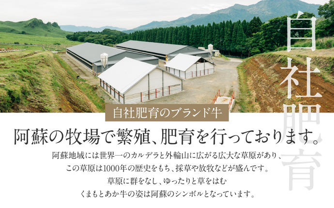 熊本県八代市のふるさと納税 あか牛ハンバーグ 120g×8個入り