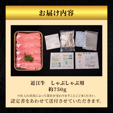 滋賀県豊郷町のふるさと納税 近江牛特選霜降りしゃぶしゃぶ用約750g【納期 最長３カ月】ブランド牛