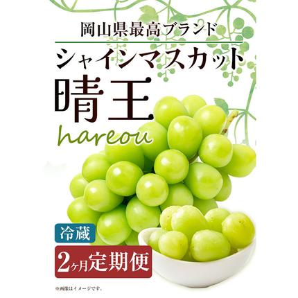 岡山県浅口市のふるさと納税 【2026年先行予約】シャインマスカット 晴王 岡山県産 定期便 2ヶ月 9月・10月発送《2026年9月中旬-10月中旬頃出荷(土日祝除く)》1房 700g 晴レ乃青果　(岡山中央卸売市場店(富士紙工 有限会社)) 岡山県 浅口市 【配送不可地域あり】