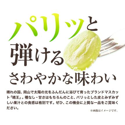 岡山県浅口市のふるさと納税 【2026年先行予約】シャインマスカット 晴王 岡山県産 定期便 2ヶ月 9月・10月発送《2026年9月中旬-10月中旬頃出荷(土日祝除く)》1房 700g 晴レ乃青果　(岡山中央卸売市場店(富士紙工 有限会社)) 岡山県 浅口市 【配送不可地域あり】