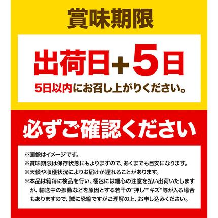 岡山県浅口市のふるさと納税 【2026年先行予約】シャインマスカット 晴王 岡山県産 定期便 2ヶ月 9月・10月発送《2026年9月中旬-10月中旬頃出荷(土日祝除く)》1房 700g 晴レ乃青果　(岡山中央卸売市場店(富士紙工 有限会社)) 岡山県 浅口市 【配送不可地域あり】
