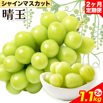 【2026年先行予約】シャインマスカット 