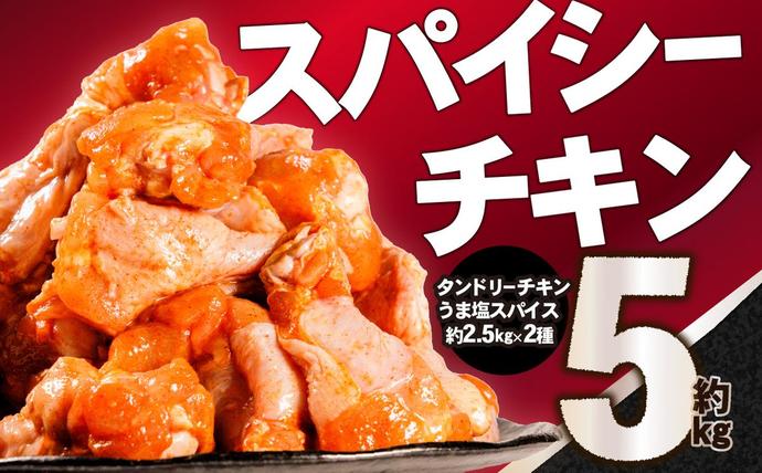 京都府木津川市のふるさと納税 スパイシーチキン 約5Kg