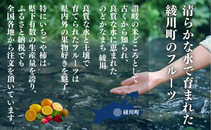 香川県綾川町のふるさと納税 特産 フルーツ 定期便 （年3回） 果物類 柑橘類 みかん いちご 苺 イチゴ ぶどう マスカット
