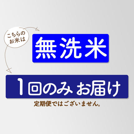 秋田県三種町のふるさと納税 【無洗米】あきたこまち 5kg 秋田県産 令和7年産  こまちライン