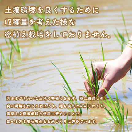 秋田県三種町のふるさと納税 【無洗米】あきたこまち 5kg 秋田県産 令和7年産  こまちライン