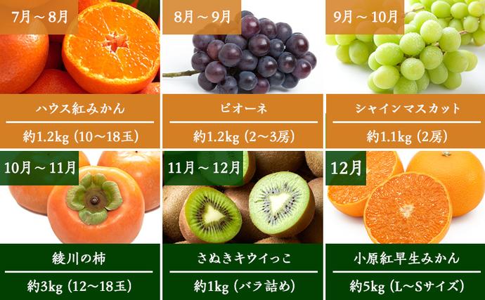 香川県綾川町のふるさと納税 特産　フルーツ　定期便（年12回） 香緑キウイ さぬきひめいちご しらぬひ 貯蔵 デコポン