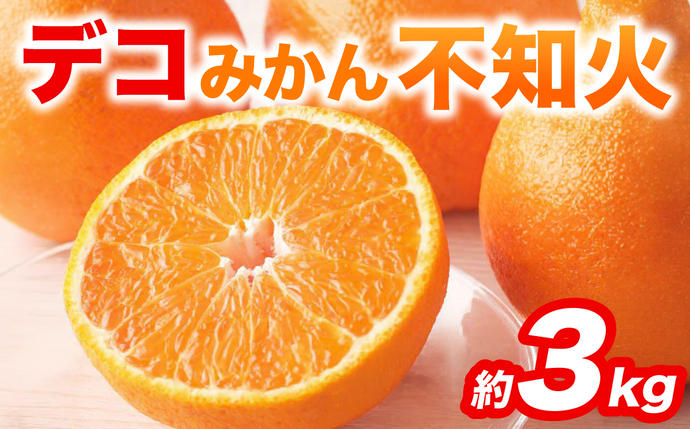 熊本県八代市のふるさと納税 【先行予約】 不知火 デコみかん (デコポン同品種) 約3kg (6～13玉) フルーツ くだもの 果物 みかん 蜜柑 ミカン 柑橘 おやつ デザート 旬 熊本県 八代市 【2027年2月上旬より順次発送】