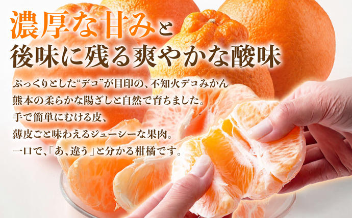 熊本県八代市のふるさと納税 【先行予約】 不知火 デコみかん (デコポン同品種) 約3kg (6～13玉) フルーツ くだもの 果物 みかん 蜜柑 ミカン 柑橘 おやつ デザート 旬 熊本県 八代市 【2027年2月上旬より順次発送】