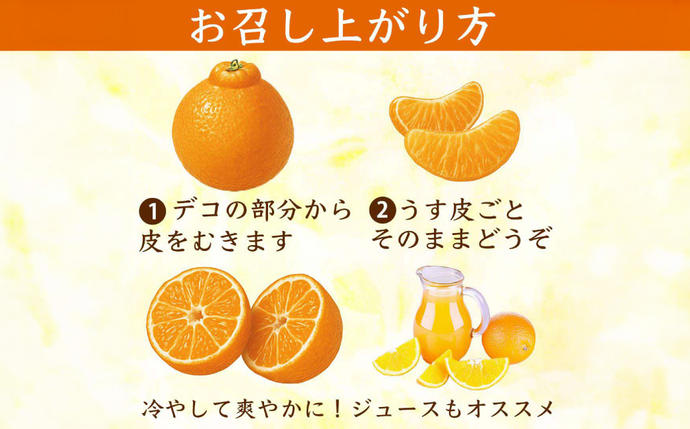 熊本県八代市のふるさと納税 【先行予約】 不知火 デコみかん (デコポン同品種) 約3kg (6～13玉) フルーツ くだもの 果物 みかん 蜜柑 ミカン 柑橘 おやつ デザート 旬 熊本県 八代市 【2027年2月上旬より順次発送】