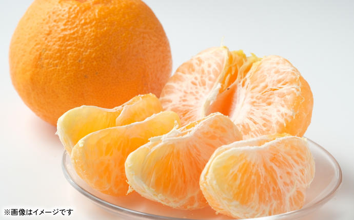 熊本県八代市のふるさと納税 不知火（デコポンと同品種） 約3kg しらぬい でこみかん 柑橘 ミカン ポンカン くだもの 果物 フルーツ