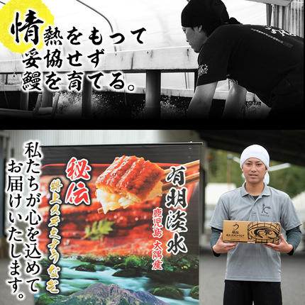 鹿児島県志布志市のふるさと納税 【数量限定】鹿児島県産！秘伝の特上スタミナうなぎ白焼き＜2尾・計240g以上＞肝吸いセット！ a4-098