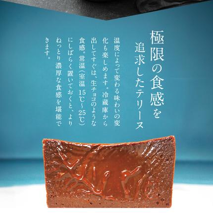 愛知県碧南市のふるさと納税 【テリーヌ専門店L】（約６００g）濃厚チョコレートのテリーヌ【グルテンフリー・保存料不使用】ショコラ スイーツ チョコレート H173-008