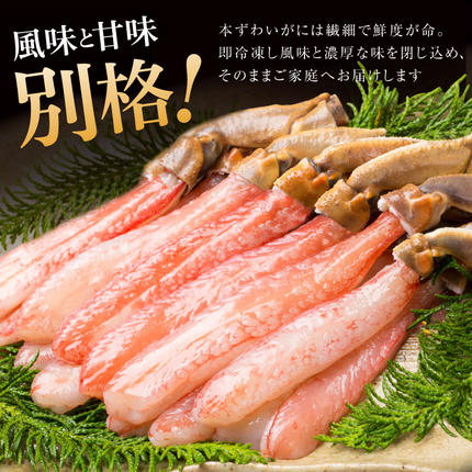 宮城県気仙沼市のふるさと納税 生本ずわいがに 棒肉 ポーション 20〜30本入 総重量 約500g [カネダイ 宮城県 気仙沼市 20564322] むき身 カニ かに 生 ずわいがに ズワイガニ ずわい蟹 ズワイ蟹 蟹 カニ カニ脚 蟹脚 カニ棒肉 カニ 蟹