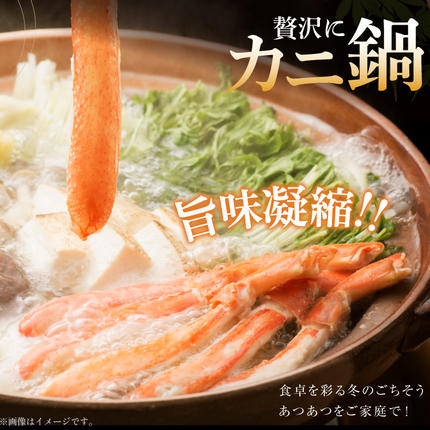 宮城県気仙沼市のふるさと納税 生本ずわいがに 棒肉 ポーション 20〜30本入 総重量 約500g [カネダイ 宮城県 気仙沼市 20564322] むき身 カニ かに 生 ずわいがに ズワイガニ ずわい蟹 ズワイ蟹 蟹 カニ カニ脚 蟹脚 カニ棒肉 カニ 蟹