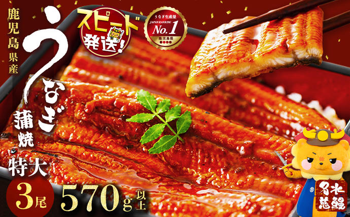 鹿児島県志布志市のふるさと納税 鹿児島県産うなぎ蒲焼 名水慈鰻 特大3尾(1尾190g以上)＜計570g以上＞ b1-023