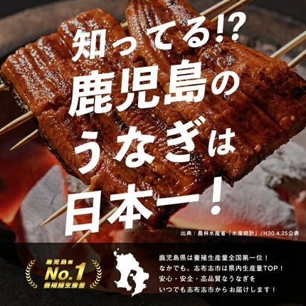 鹿児島県志布志市のふるさと納税 鹿児島県産うなぎ蒲焼 名水慈鰻 特上3尾(1尾190g以上)＜計570g以上＞ a9-058