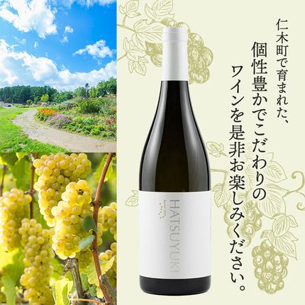 北海道仁木町のふるさと納税 NIKI Hills Winery 白ワイン 【 HATSUYUKI 】 750ml ワイン 洋酒 お酒 アルコール ブドウ ぶどう ドライ [株式会社NIKI Hillsヴィレッジ]