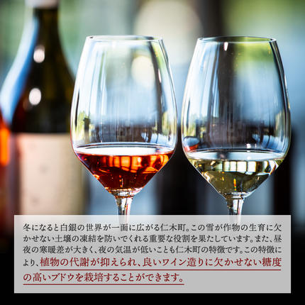 北海道仁木町のふるさと納税 NIKI Hills Winery 白ワイン 【 HATSUYUKI 】 750ml ワイン 洋酒 お酒 アルコール ブドウ ぶどう ドライ [株式会社NIKI Hillsヴィレッジ]
