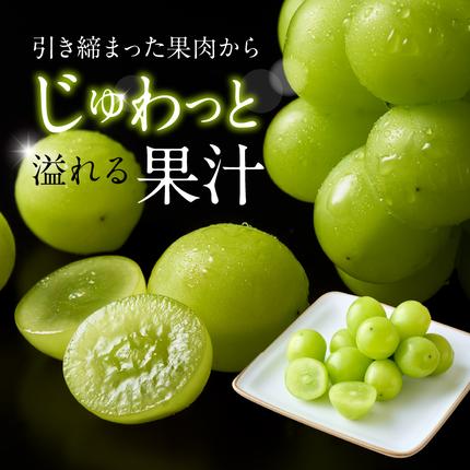 福岡県新宮町のふるさと納税 AC126.九州・福岡フルーツ王国より直送.シャインマスカット約1kg／2027年9月配送