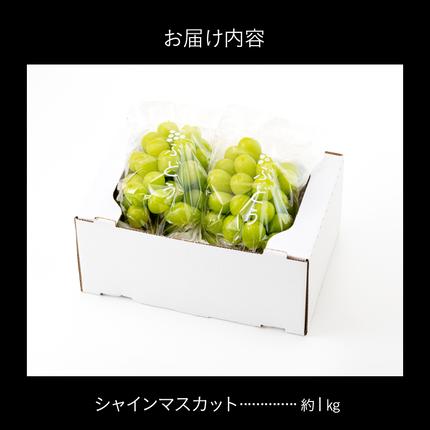 福岡県新宮町のふるさと納税 AC126.九州・福岡フルーツ王国より直送.シャインマスカット約1kg／2026年9月配送