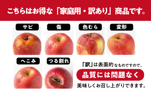 長野県飯綱町のふるさと納税 【 感謝りんご / 光センサー選別品 】 りんご シナノスイート 訳あり 5kg （ 12玉 〜 25玉 ） 交換保証 ながの農業協同組合 2026年10月上旬頃から2026年11月上旬頃まで順次発送予定 令和8年度収穫分 傷 不揃い リンゴ 林檎 果物 フルーツ 信州 長野  予約 長野県 飯綱町 [1205]