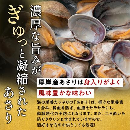 北海道厚岸町のふるさと納税 あさり 訳あり 北海道 厚岸産 砂出し済み 活あさり 500g×2 (合計1kg) 【厚岸海産】[ アサリ 魚貝 海鮮 大粒 美味しい 栄養 旨み 砂出し 水洗い 冷蔵 便利 ]