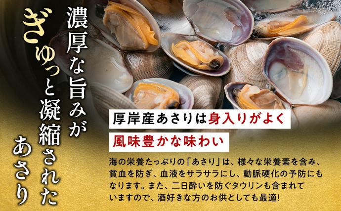 北海道厚岸町のふるさと納税 北海道 厚岸産 訳あり 活あさり 500g×2 (合計1kg) アサリ 魚貝 海鮮 大粒 美味しい 栄養 旨み 砂出し 水洗い 冷蔵 冷凍保存可能 便利