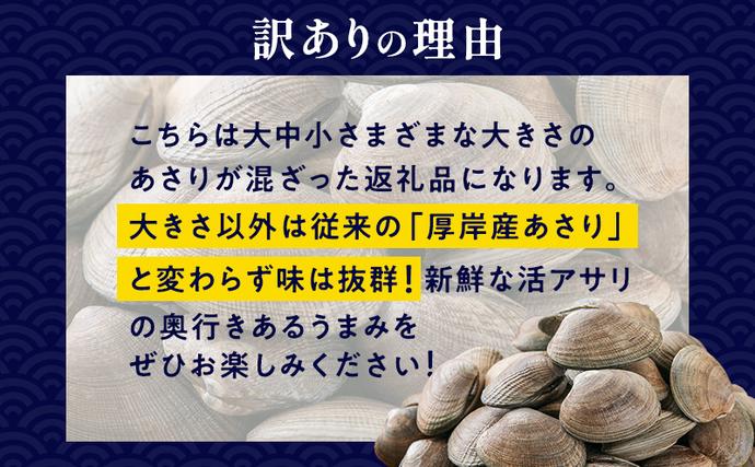 北海道厚岸町のふるさと納税 北海道 厚岸産 訳あり 活あさり 500g×2 (合計1kg) アサリ 魚貝 海鮮 大粒 美味しい 栄養 旨み 砂出し 水洗い 冷蔵 冷凍保存可能 便利