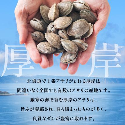 北海道厚岸町のふるさと納税 あさり 訳あり 北海道 厚岸産 砂出し済み 活あさり 500g×2 (合計1kg) 【厚岸海産】[ アサリ 魚貝 海鮮 大粒 美味しい 栄養 旨み 砂出し 水洗い 冷蔵 便利 ]
