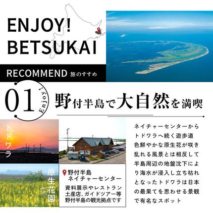 北海道別海町のふるさと納税 ひがし北海道 別海町の旅（羽田発着 ANA往復 航空券 + 別海町 宿泊 1泊 + レンタカー 北海道 旅行 旅行券 ホテル 旅館 宿泊券 ）