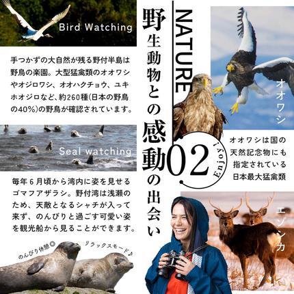 北海道別海町のふるさと納税 ひがし北海道 別海町の旅（羽田発着 ANA往復 航空券 + 別海町 宿泊 1泊 + レンタカー 北海道 旅行 旅行券 ホテル 旅館 宿泊券 ）