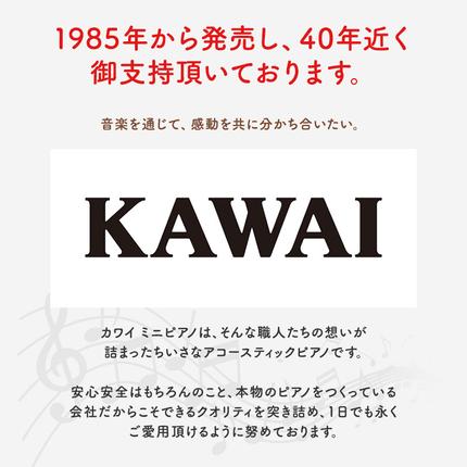 静岡県浜松市のふるさと納税 ピアノ おもちゃ グランドピアノ KAWAI 1141 楽器 玩具